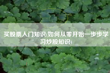 买股票入门知识(如何从零开始一步步学习炒股知识)
