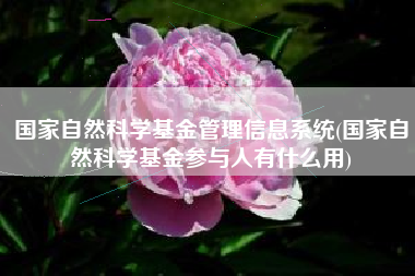 国家自然科学基金管理信息系统(国家自然科学基金参与人有什么用)