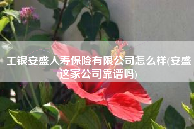 工银安盛人寿保险有限公司怎么样(安盛这家公司靠谱吗)