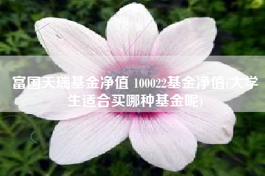 富国天瑞基金净值 100022基金净值(大学生适合买哪种基金呢)