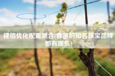建信优化配置混合(香港的知名珠宝品牌都有哪些)