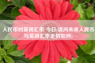 人民币对英镑汇率 今日(请问未来人民币与英镑汇率走势如何)