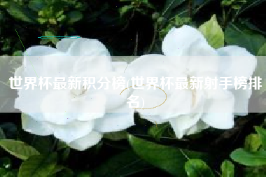 世界杯最新积分榜(世界杯最新射手榜排名)
