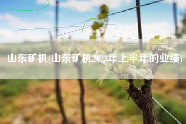 山东矿机(山东矿机2023年上半年的业绩)