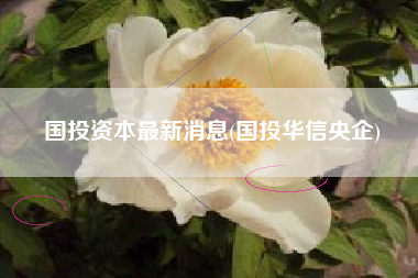 国投资本最新消息(国投华信央企)