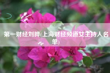 第一财经刘晔(上海财经频道女主持人名单)