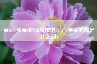 001896股票(沪深股市中345789字头的都是什么股)