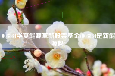 003834华夏能源革新股票基金(003834是新能源吗)