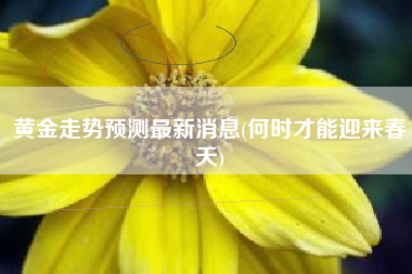 黄金走势预测最新消息(何时才能迎来春天)