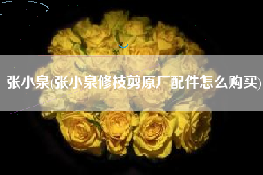 张小泉(张小泉修枝剪原厂配件怎么购买)