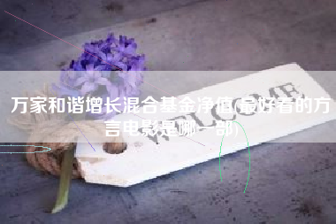 万家和谐增长混合基金净值(最好看的方言电影是哪一部)