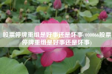 股票停牌重组是好事还是坏事(000066股票停牌重组是好事还是坏事)