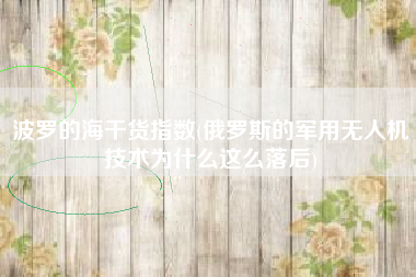 波罗的海干货指数(俄罗斯的军用无人机技术为什么这么落后)
