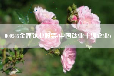 000545金浦钛业股票(中国钛业十强企业)