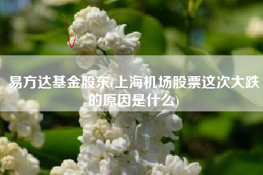 易方达基金股东(上海机场股票这次大跌的原因是什么)
