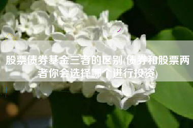 股票债券基金三者的区别(债券和股票两者你会选择哪个进行投资)