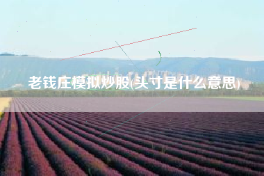 老钱庄模拟炒股(头寸是什么意思)