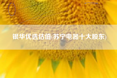 银华优选估值(苏宁电器十大股东)