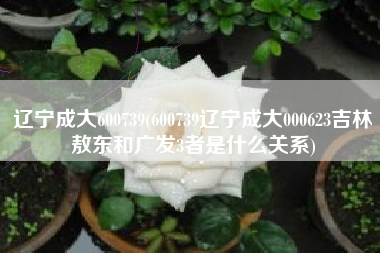 辽宁成大600739(600739辽宁成大000623吉林敖东和广发3者是什么关系)
