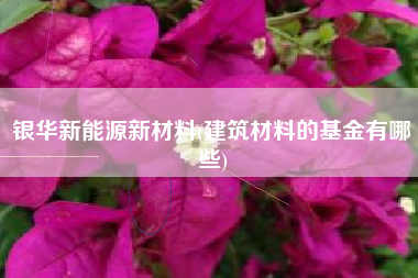 银华新能源新材料(建筑材料的基金有哪些)