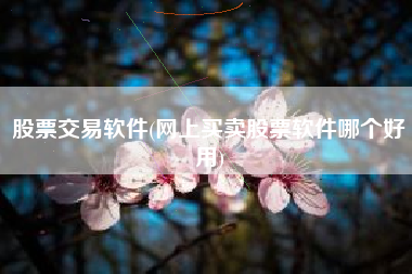股票交易软件(网上买卖股票软件哪个好用)