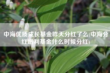 中海优质成长基金昨天分红了么(中海分红增利基金什么时候分红)