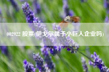 002922 股票(伊戈尔属于小巨人企业吗)