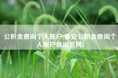 公积金查询个人账户(泰安公积金查询个人账户查询官网)