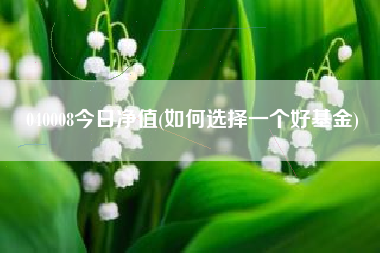 040008今日净值(如何选择一个好基金)