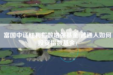 富国中证红利指数增强基金(普通人如何投资指数基金)