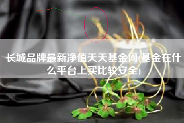 长城品牌最新净值天天基金网(基金在什么平台上买比较安全)