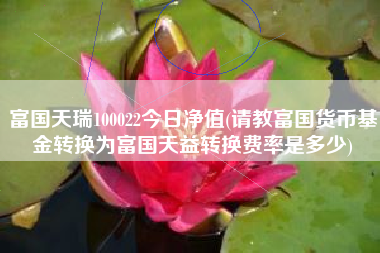 富国天瑞100022今日净值(请教富国货币基金转换为富国天益转换费率是多少)