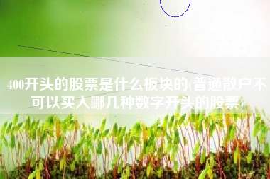 400开头的股票是什么板块的(普通散户不可以买入哪几种数字开头的股票)