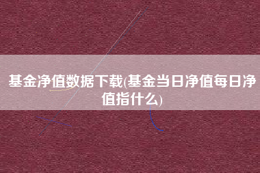 基金净值数据下载(基金当日净值每日净值指什么)