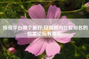 投资平台哪个最好(目前国内比较知名的股票论坛有哪些)