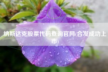 纳斯达克股票代码查询官网(合发成功上市)