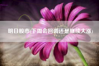 明日股市(下周会回调还是继续大涨)