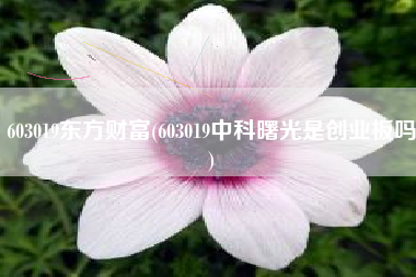 603019东方财富(603019中科曙光是创业板吗)