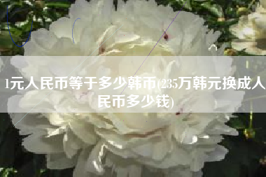 1元人民币等于多少韩币(235万韩元换成人民币多少钱)