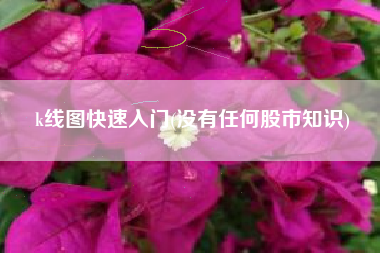 k线图快速入门(没有任何股市知识)