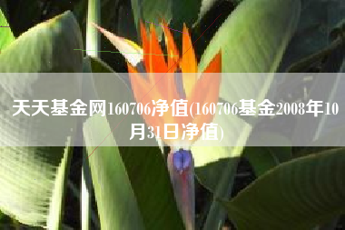 天天基金网160706净值(160706基金2008年10月31日净值)