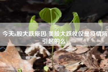 今天a股大跌原因(美股大跌仅仅是疫情所引起的么)