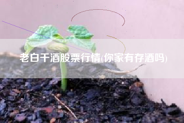老白干酒股票行情(你家有存酒吗)