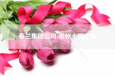 春兰集团公司(泰州十强企业)