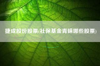 捷成股份股票(社保基金青睐哪些股票)