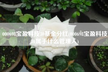 000698宝盈科技30基金分红(000698宝盈科技30属于什么管理人)