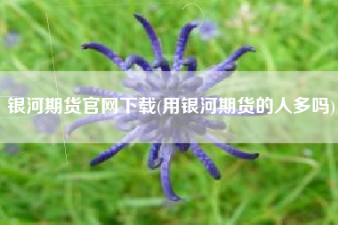 银河期货官网下载(用银河期货的人多吗)