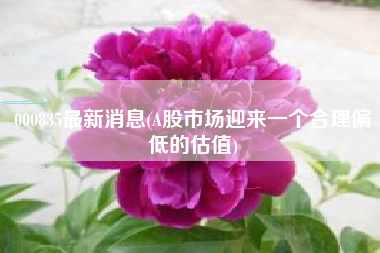 000835最新消息(A股市场迎来一个合理偏低的估值)