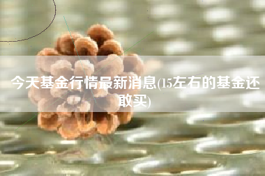 今天基金行情最新消息(15左右的基金还敢买)