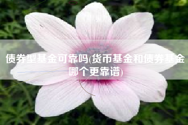 债券型基金可靠吗(货币基金和债券基金哪个更靠谱)
